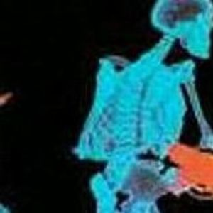 Meet your Posher, Peter